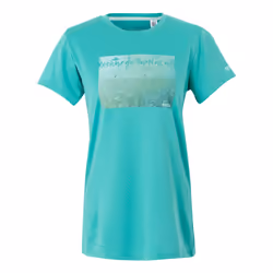 Regatta Womens/Ladies Fingal IX Grass T-Shirt - 24 UK, Turquoise