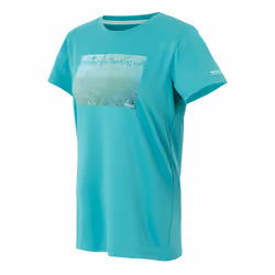 Regatta Womens/Ladies Fingal IX Grass T-Shirt - 24 UK, Turquoise