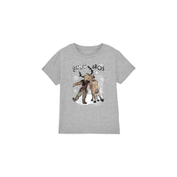 Frozen Childrens/Kids Snow Bros Kristoff Sven T-Shirt - 5-6 Years, Sport Heather
