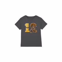Star Wars Childrens/Kids 12 C3PO Chewbacca T-Shirt - 9-10 Years, Charcoal
