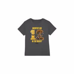 Star Wars Childrens/Kids Greatest Kid C3PO R2-D2 T-Shirt - 9-10 Years, Charcoal
