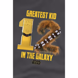 Star Wars Childrens/Kids Greatest Kid C3PO R2-D2 T-Shirt - 9-10 Years, Charcoal