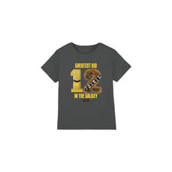 Star Wars Childrens/Kids Greatest Kid C3PO R2-D2 T-Shirt - 7-8 Years, Charcoal