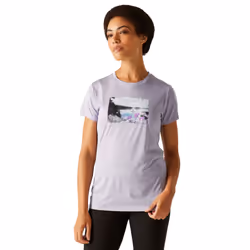 Regatta Womens/Ladies Fingal IX Landscape T-Shirt - 24 UK, Wisteria Marl