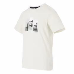 Regatta Mens Cline IX Photograph T-Shirt - 5XL, Stone White