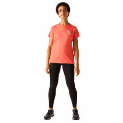 Regatta Womens/Ladies Fingal IX Flowers T-Shirt - 8 UK, Peach Bloom