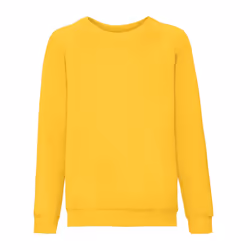 Fruit of the Loom Childrens/Kids Classic Raglan Sweatshirt