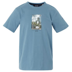 Regatta Mens Cline IX Summer Exploration T-Shirt - 5XL, Coronet Blue