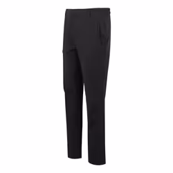Regatta Mens Highton II Hiking Trousers - 36S, Ash