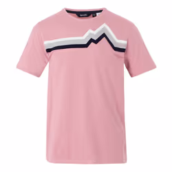 Regatta Mens Linear Mountain T-Shirt - XL, Lilas