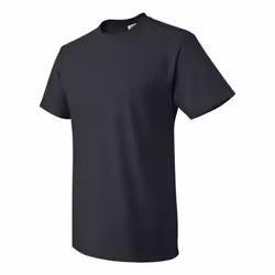 Fruit of the Loom Unisex Adult Cotton T-Shirt - S, Black