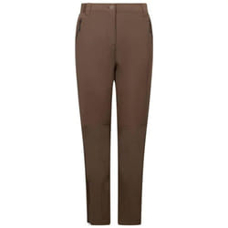 Trespass Womens/Ladies Tawny DLX Softshell Trousers - L, Peat