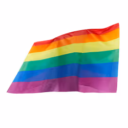 Smiffys Unisex Adult Flag Costume