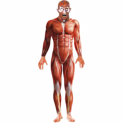 Smiffys Mens Anatomy Man Costume - M, Red