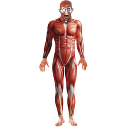 Smiffys Mens Anatomy Man Costume - M, Red