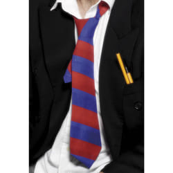 Smiffys Striped School Tie