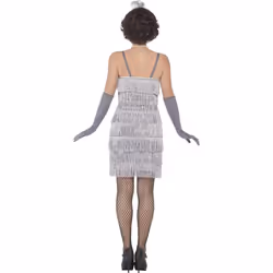 Smiffys Womens/Ladies Flapper Costume Set - S, Silver