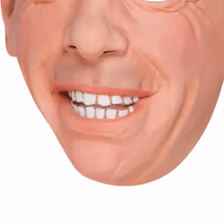Smiffys Unisex Adult Brexit Nigel Farage Mask