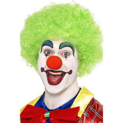 Smiffys Unisex Adult Crazy Clown Wig - One Size, Green