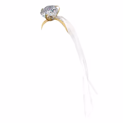 Smiffys Womens/Ladies Ring Hen Night Headband & Veil