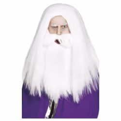 Smiffys Magician Beard & Wig Set