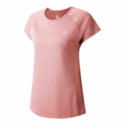 Dare 2B Womens/Ladies Corral T-Shirt - 14 UK, Mauve