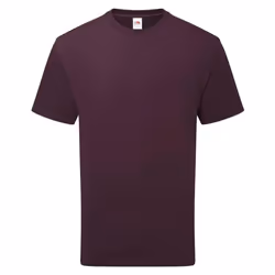 Fruit of the Loom Unisex Adult Cotton T-Shirt - S, Dark Plum