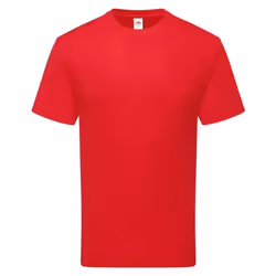 Fruit of the Loom Unisex Adult Cotton T-Shirt - S, Red