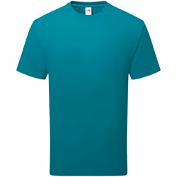 Fruit of the Loom Unisex Adult Cotton T-Shirt - XL, Ocean Teal