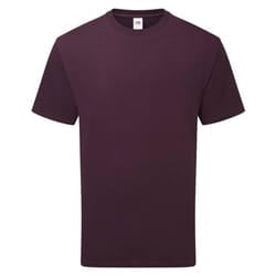 Fruit of the Loom Unisex Adult Cotton T-Shirt - M, Dark Plum