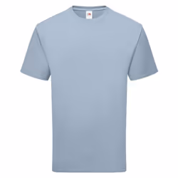 Fruit of the Loom Unisex Adult Cotton T-Shirt - M, Mineral Blue