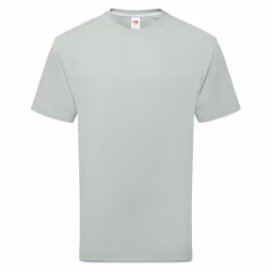 Fruit of the Loom Unisex Adult Cotton T-Shirt - XXL, Sage