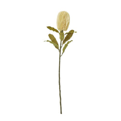 Hill Interiors Banksia Serrata Artificial Flower - One Size, Cream