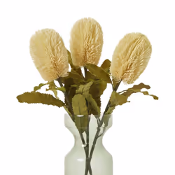 Hill Interiors Banksia Serrata Artificial Flower - One Size, Cream