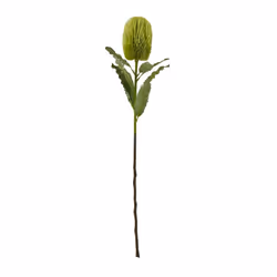 Hill Interiors Banksia Serrata Artificial Flower - One Size, Green