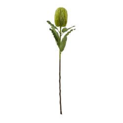 Hill Interiors Banksia Serrata Artificial Flower - One Size, Green