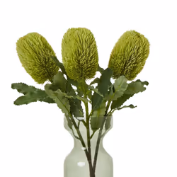 Hill Interiors Banksia Serrata Artificial Flower - One Size, Green