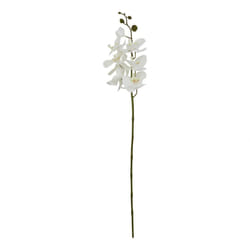 Hill Interiors Butterfly Orchid Artificial Flower - 75cm x 10cm x 10cm, White