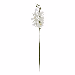 Hill Interiors Butterfly Orchid Artificial Flower - 52cm x 9cm x 9cm, White