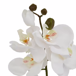 Hill Interiors Butterfly Orchid Artificial Flower - 52cm x 9cm x 9cm, White