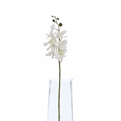 Hill Interiors Butterfly Orchid Artificial Flower - 52cm x 9cm x 9cm, White