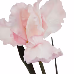Hill Interiors The Natural Garden Collection Fringed Iris Artificial Flower