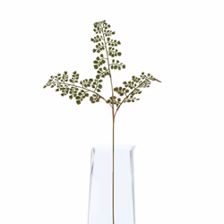 Hill Interiors The Natural Garden Collection Maidenhair Fern Artificial Flower