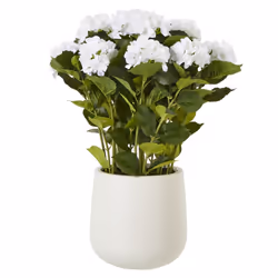 Hill Interiors Hydrangea Artificial Potted Plant - 64cm x 50cm x 50cm, White/Green