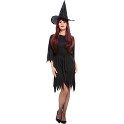 Smiffys Womens/Ladies Spooky Witch Costume