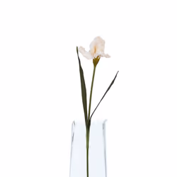 Hill Interiors The Natural Garden Collection Fringed Iris Artificial Flower