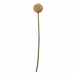 Hill Interiors Allium Stem Artificial Plant - 75cm, Pink
