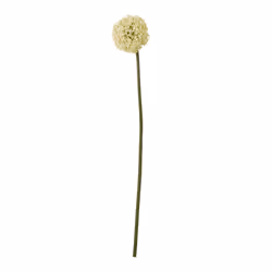 Hill Interiors Allium Stem Artificial Plant - 80cm, Cream
