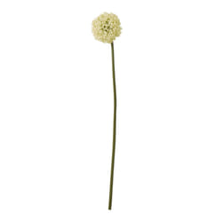 Hill Interiors Allium Stem Artificial Plant - 80cm, Cream