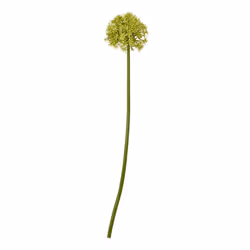 Hill Interiors Allium Stem Artificial Plant - 80cm, Green